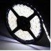 LED Strip Light - 5050 1m - White - NWP